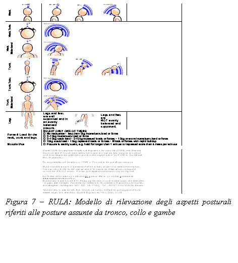Casella di testo:  
Figura 7  RULA: Modello di rilevazione degli aspetti posturali riferiti alle posture assunte da tronco, collo e gambe
